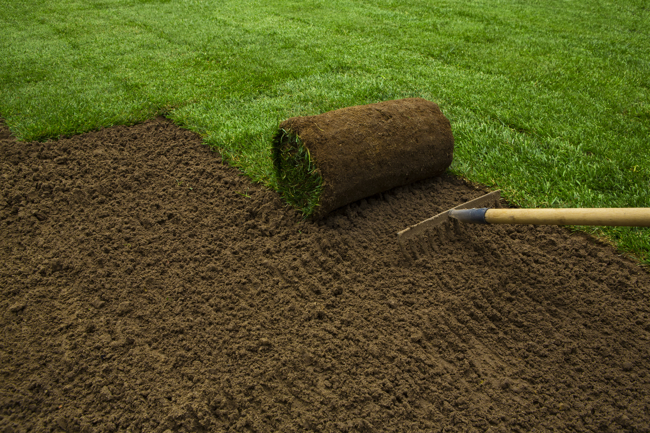 Comment semer de la pelouse ? Un nouveau gazon en 5 étapes