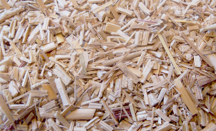 paillage de miscanthus