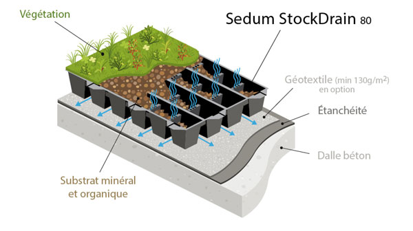 toiture sedum Belgique
