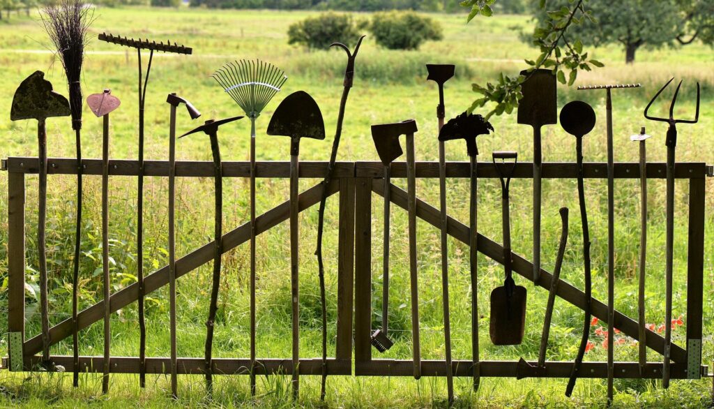 gazon en rouleau résistant au piétinement