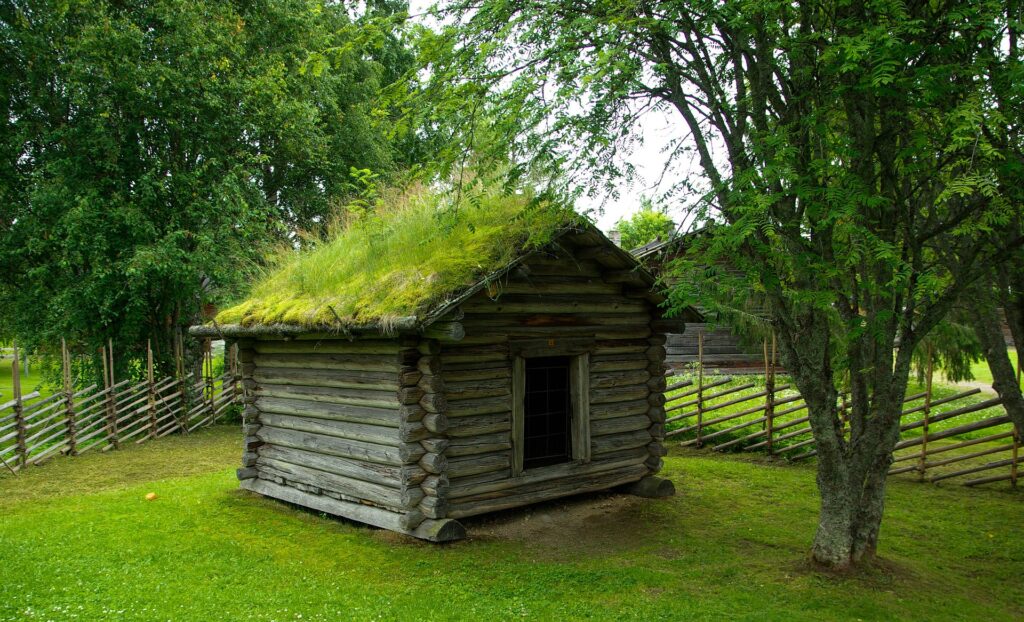 petite maison en bois avec un toit végétal